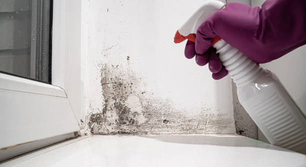 Best Emergency water damage restoration  in USA